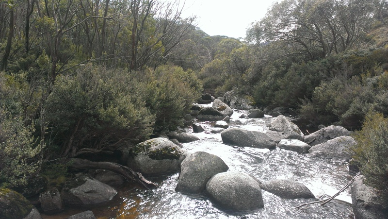 Thredbo River, Australia